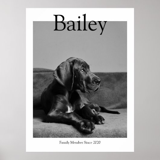 Einzigartiges Portrait Magazin Custom Foto Poster (Vorne)