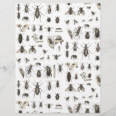 Einzigartiges Vintages Bug- und Insektenmuster (Rückseite)