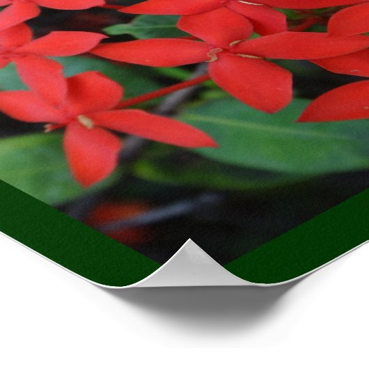 Einzigartigkeit Poster (Ecke)