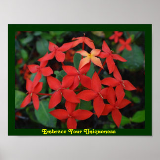 Einzigartigkeit Poster