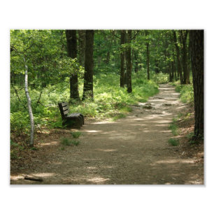 Einzige Bank 10 x photographischer Druck 8