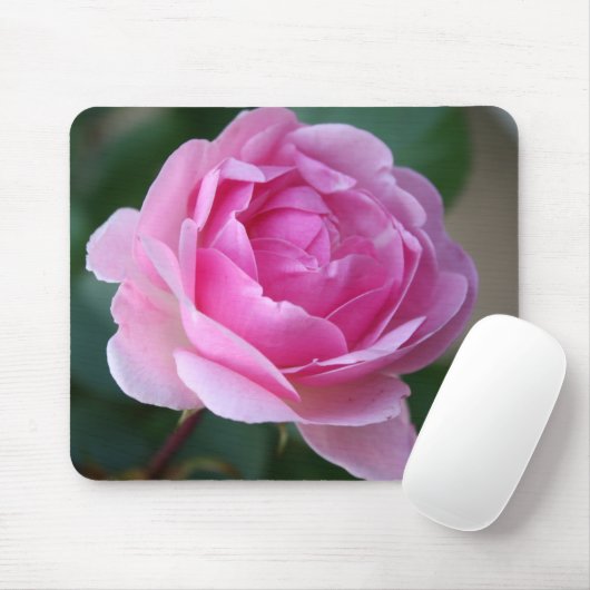 Einzige rosa Rose Mousepad (Mit Mouse)