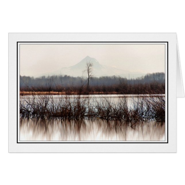 Einziger Baum (Vorderseite (Horizontal))