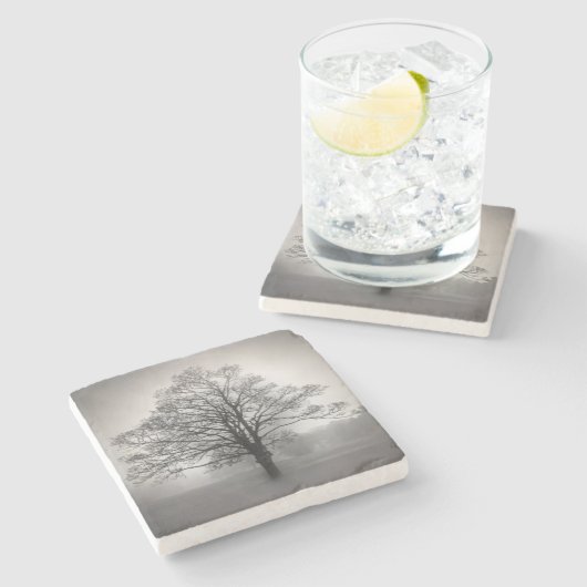 Einziger Baum-Stein-Untersetzer Steinuntersetzer (Seitenansicht)