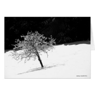 Einziger eisiger Baum im Winter