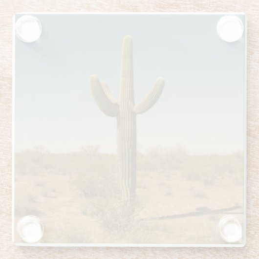 Einziger Kaktus Glasuntersetzer (Rückseite)