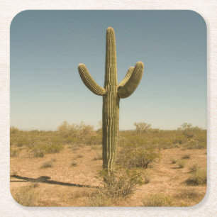 Einziger Kaktus Rechteckiger Pappuntersetzer