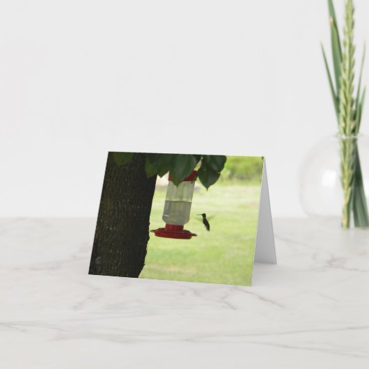 Einziger Kolibri Karte (Vorderseite)