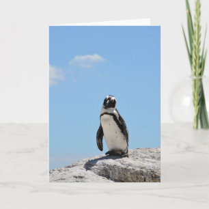 Einziger süßer Pinguin und blauer Himmel Karte