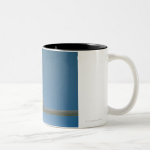 Einziges Baby-Haustier-Huhn, das auf einer Stange Zweifarbige Tasse