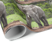 Einziges Bull. des afrikanischen Elefanten Geschenkpapier (Rolleneckpunkt)