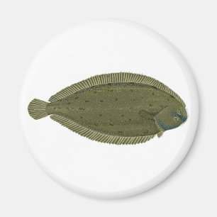 Einziges Fisch-Logo Magnet