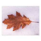 Einziges Foto (Vorne)