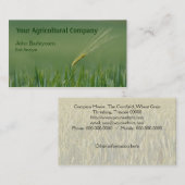 Einziges Ohr der Gerste auf einem Gebiet Visitenkarte (Vorne/Hinten)