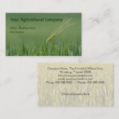 Einziges Ohr der Gerste auf einem Gebiet Visitenkarte (Vorne/Hinten)