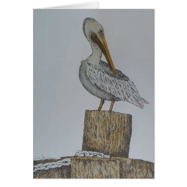 Einziges Pelly (Vorne)