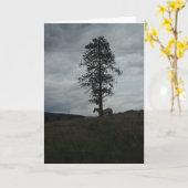Einziges Pferd an der Karte (Gelbe Blume)