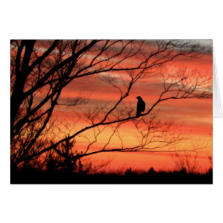 Einziges Rabe Nennen