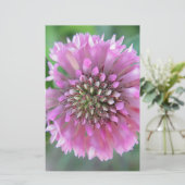 Einzigrosa Blüte Briefpapier (Stehend Vorderseite)