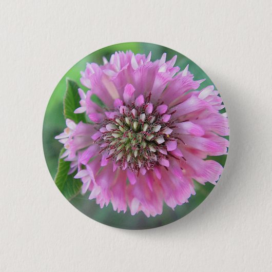 Einzigrosa Blüte Button (Vorderseite)