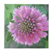 Einzigrosa Blüte Fliese (Vorderseite)
