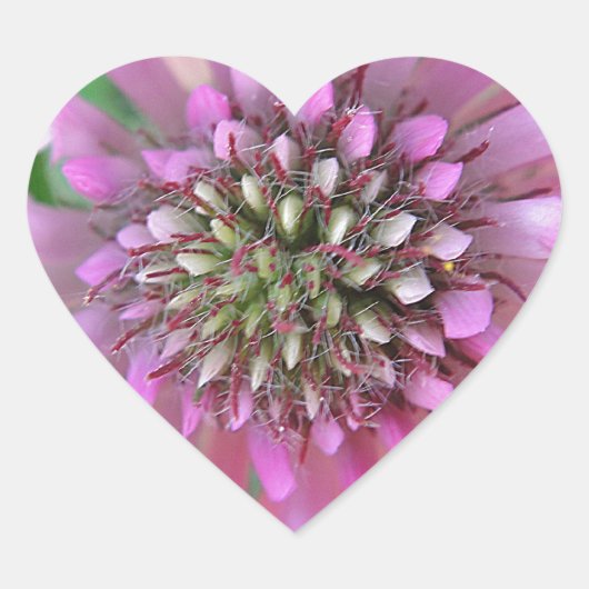 Einzigrosa Blüte Herz-Aufkleber (Vorderseite)
