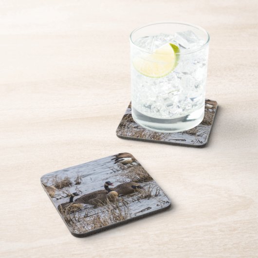 Einzug Getränkeuntersetzer (Rechte Seite)