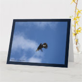 Einzug in die Fänge Karte (Gelbe Blume)