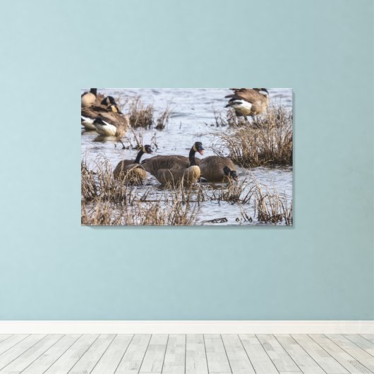 Einzug Leinwanddruck (Insitu (Holzboden))