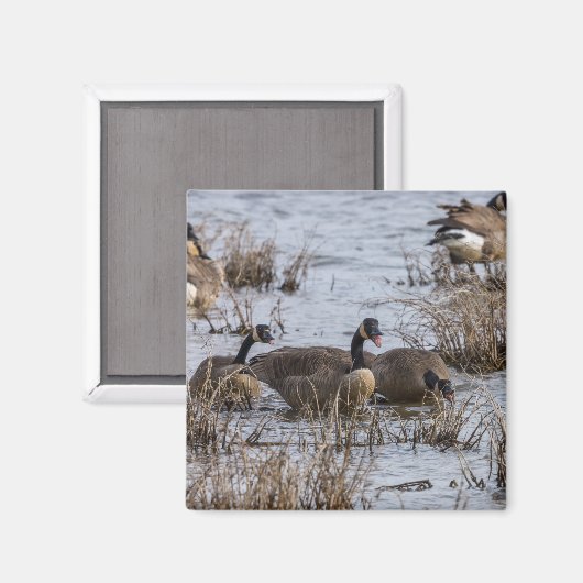 Einzug Magnet (Vorderseite/Rückseite)