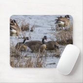 Einzug Mousepad (Mit Mouse)