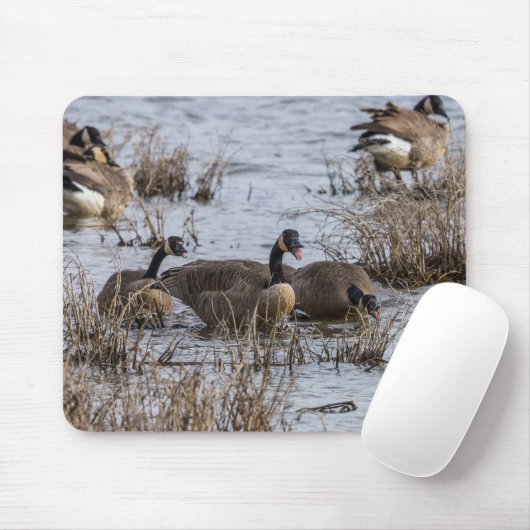 Einzug Mousepad (Mit Mouse)