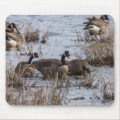 Einzug Mousepad (Vorne)