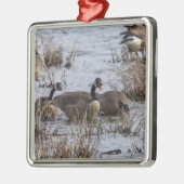 Einzug Ornament Aus Metall (Links)
