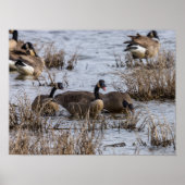 Einzug Poster (Vorne)