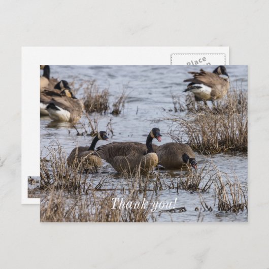 Einzug Postkarte (Vorne/Hinten)