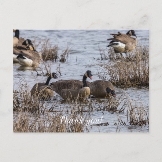 Einzug Postkarte (Vorderseite)