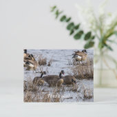 Einzug Postkarte (Stehend Vorderseite)