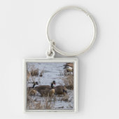 Einzug Schlüsselanhänger (Vorne)