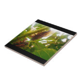 Einzugs-Länderzuordnungen Fliese (Seite)