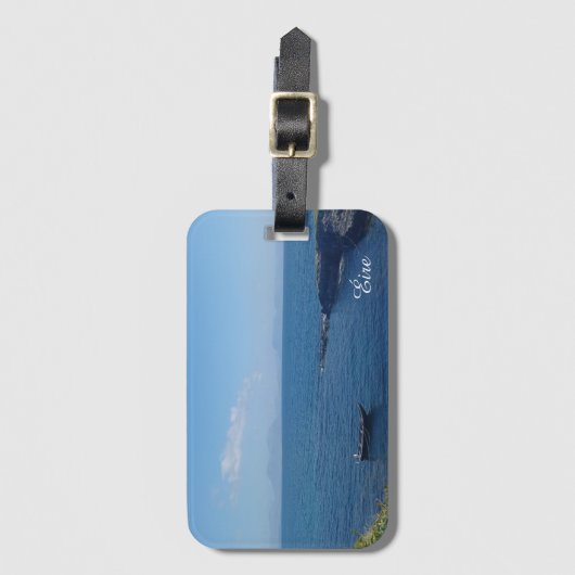 Éire (Irland) Gepäckmarke Gepäckanhänger (Vorderseite Vertikal)