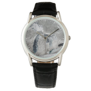 Eis auf den Großen Seen, Staaten. Armbanduhr