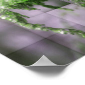 Eis auf Goldenrod Naturester Poster (Ecke)