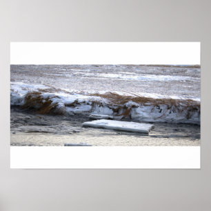 Eis auf Wasser schwimmendes Poster