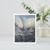 Eis-Blume Postkarte (Stehend Vorderseite)