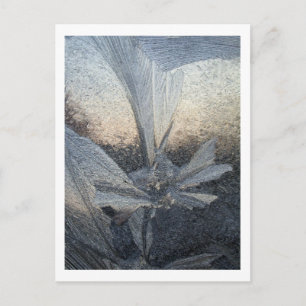 Eis-Blume Postkarte