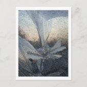 Eis-Blume Postkarte (Vorderseite)