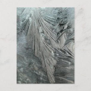 Eis Blume Vertikale DICKE Postkarte