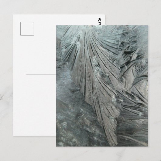 Eis Blume Vertikale DICKE Postkarte (Vorne/Hinten)