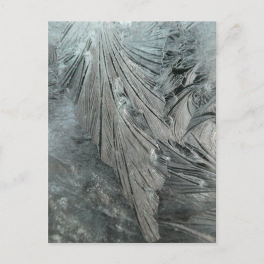 Eis Blume Vertikale DICKE Postkarte (Vorderseite)